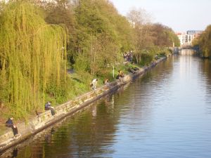 travelxsite berlin bike tour city oases spree